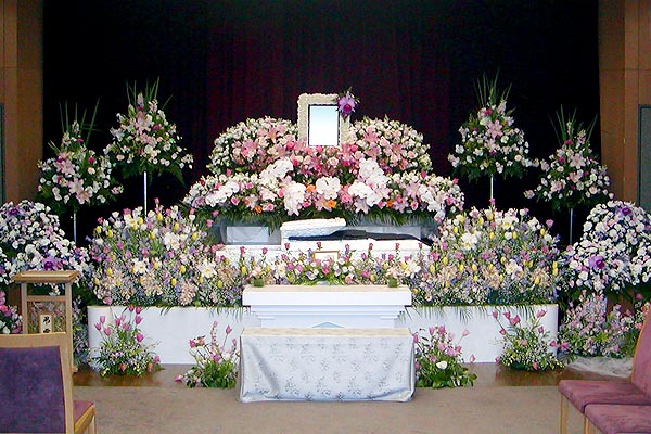 ����ο���̱����ץ��