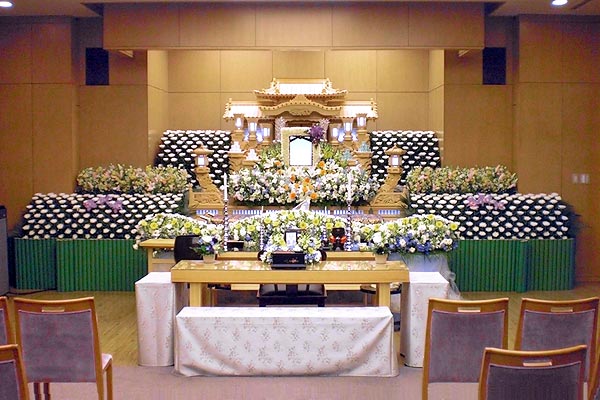 ����ο���̱����ץ��